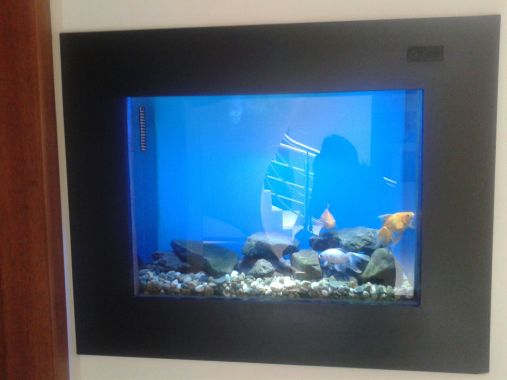 Acuario incrustado en la pared tipo plasma