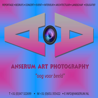 Anserum Art
