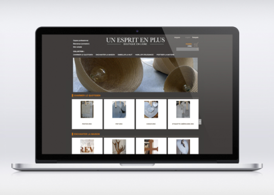 site marchand et site vitrine "un esprit en plus"