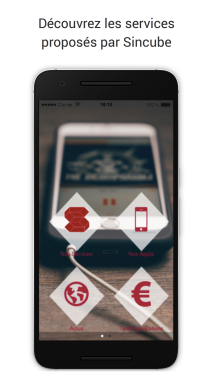 Application mobile telephone et tablette entreprise