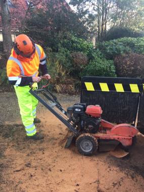 Removing an unwanted tree stump, this removes the timber to below ground level, removing trip hazard and reclaiming this area of your garden.