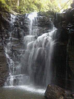 Misahualli..tena-napo