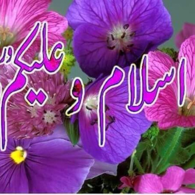 Bismilallah