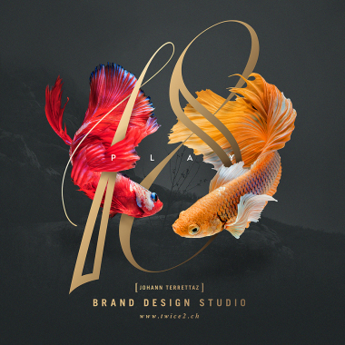 Johann Terrettaz Brand & Typefaces Design Studio