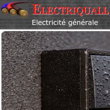 Electriquall