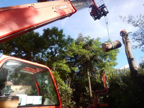 Levage avec grue pour de gros sujets.