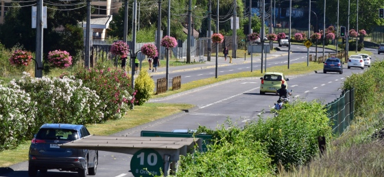 Jardineras Colgantes Av. 8 Oriente. Chiguayante