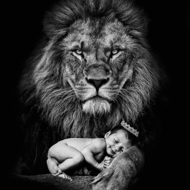 Arya Malanchini Photographe