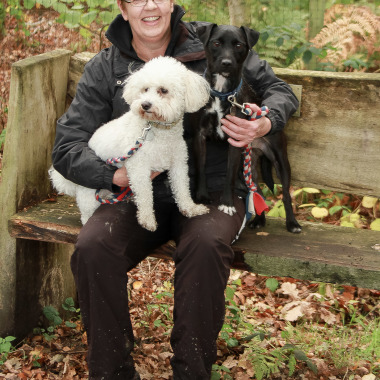 Bluebell Pet Services