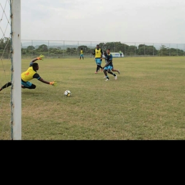 Entrenamiento Físico Y Deporte