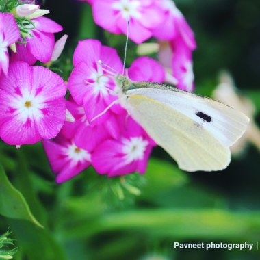Flabbergastphotography