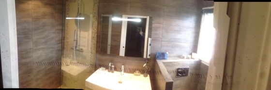 Modernisation Salle de douche.