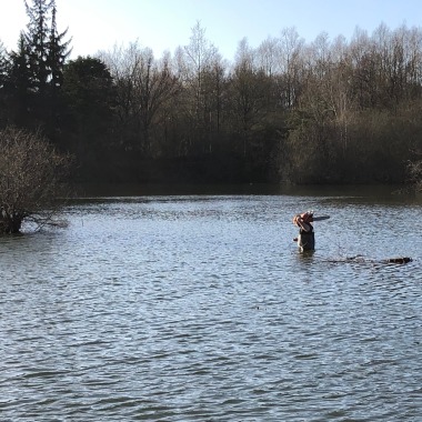T - Ouest Environnement
