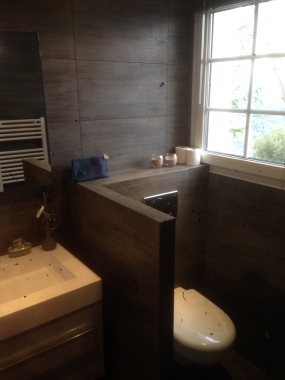 Modernisation Salle de douche.