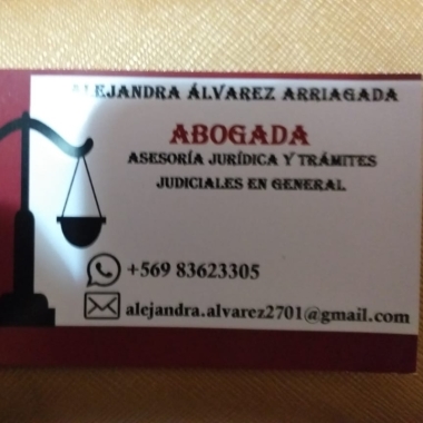Alejandra Álvarez, Abogada.