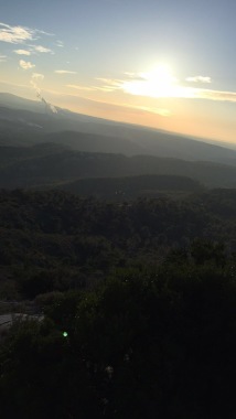 Voici le carde en fin d’après-midi 