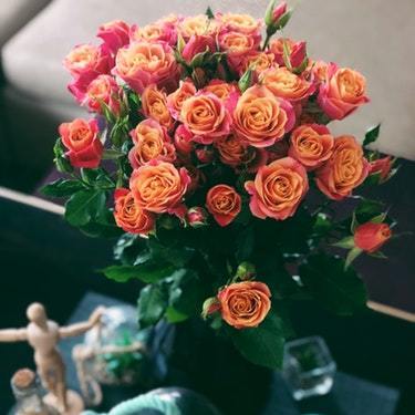 Bloomsvilla- Flower Delivery In Hebbal