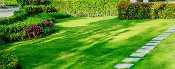MANTENIMIENTO Y CUIDADO DE JARDINES