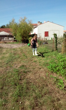 travaux d jardinage