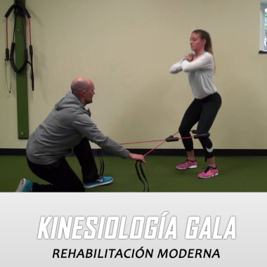 Rehabilitación en Traumatología.
- Rehabilitación de traumatismos agudos (esguinces, fracturas, luxaciones, luxofracturas, desgarros, lesiones deportivas).
- Dolores crónicos (artrosis/itis, lumbago, lesión de tendón, etc...)