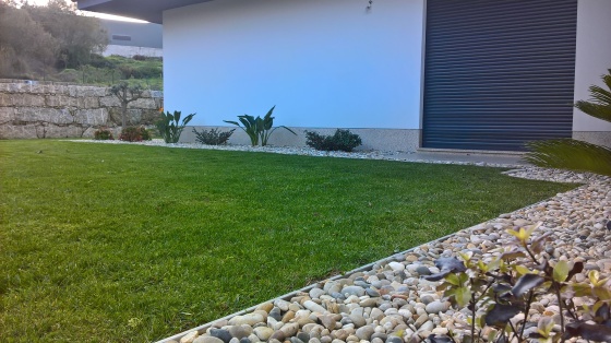 Construção de raiz com sistema de rega e sementeira de relva