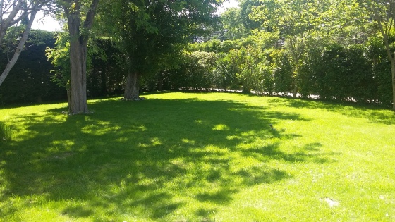 20170515_114700.jpg