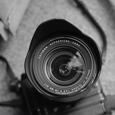 Lee Phillips Photography