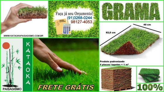 grama esmeralda