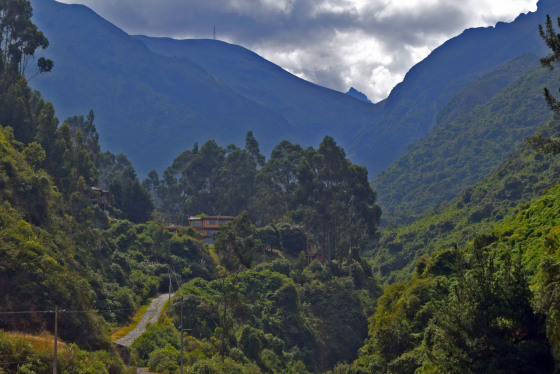 Naturaleza