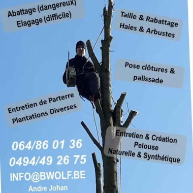 Bwolf Srl