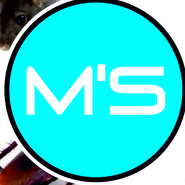 M`S-Martins`S Pest Control Controlpragas