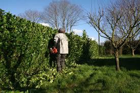 Jardinage