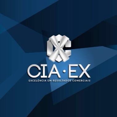 Ciaex Consultoria E Inteligência Aplicada 