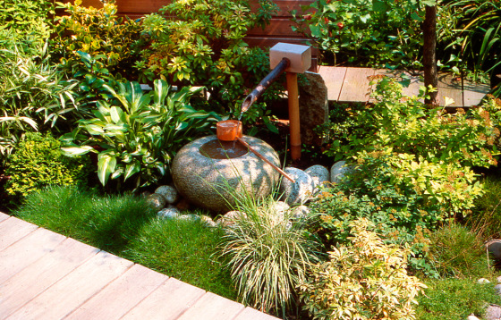 Knipphals-2000-Ginkgo-an-Südgarten.jpg