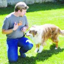 Dogzone Education
