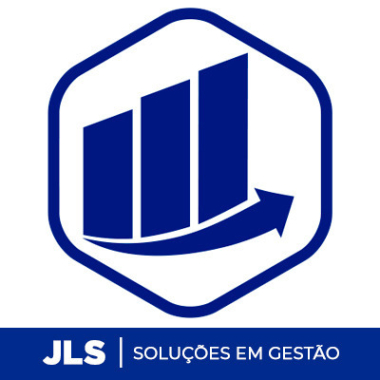 Jls Soluções Em Gestão