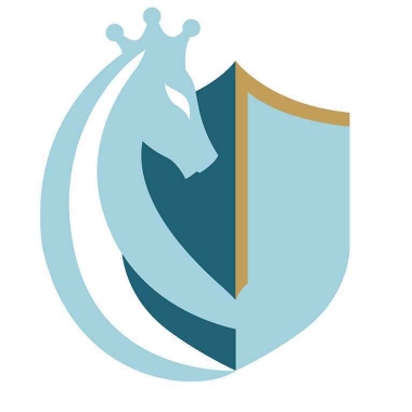 Die Versicherungsprofis Gmbh