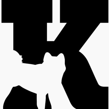 Kaizen Consultoria & Adestramentos