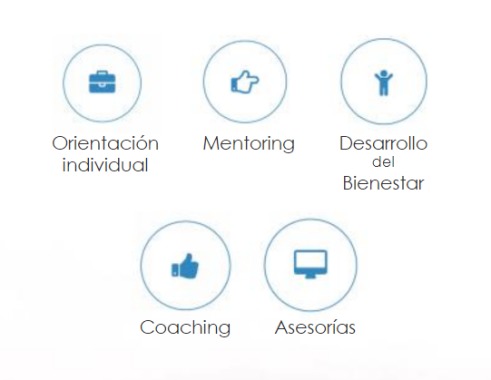 Mis servicios 