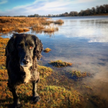 Jessie at Hatchett pond