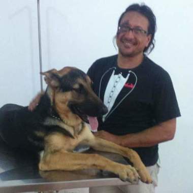 Malhacão Dog Walker 