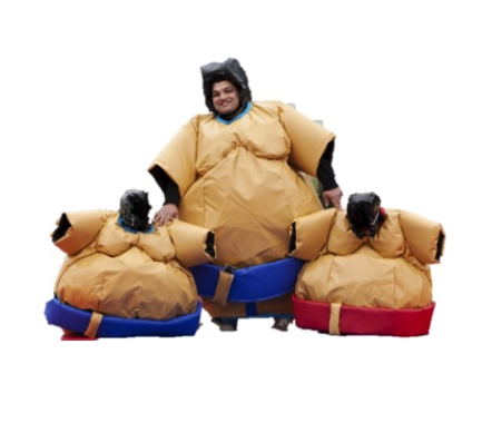 Sumo adultes et enfants
