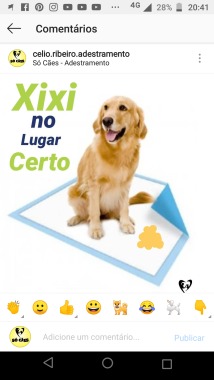 Xixi no lugar certo com apenas uma aula!