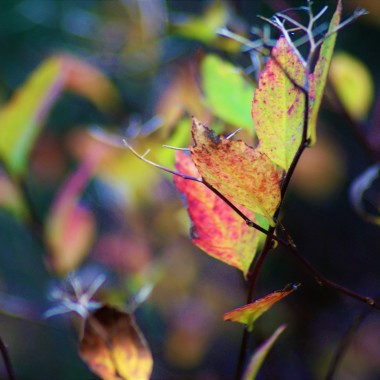Kate'S Photography