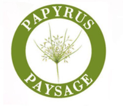 Papyrus Paysage