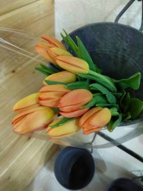 IMG-20170510-WA0065.jpg