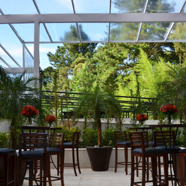 Caru Locação De Plantas Ornamentais