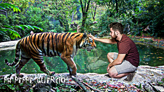 photomanipulation