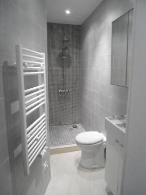 salle de douche/toilette "sanibroyeur" dans un couloir (Suresnes 92)