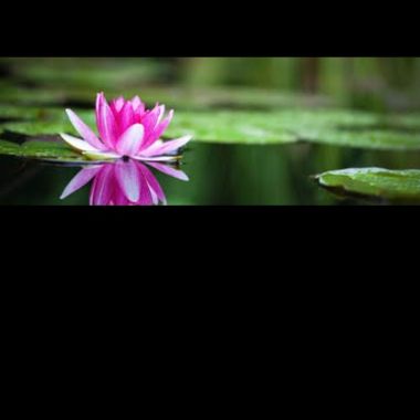 Mebenessere
